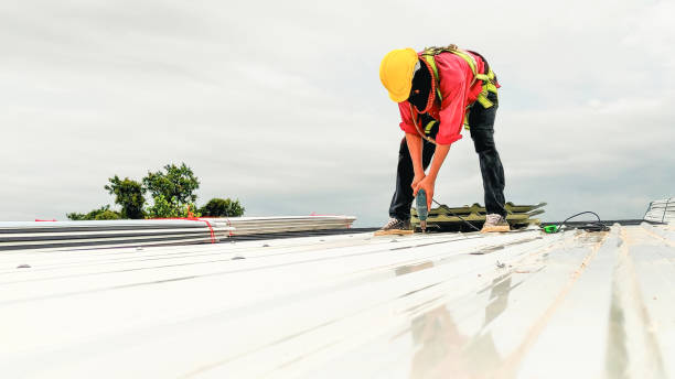 Best Asphalt Shingles Roofing  in Minster, OH