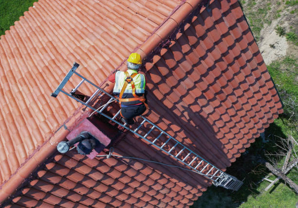 Best Asphalt Shingle Roofing  in Minster, OH